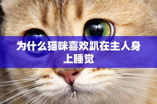 為什么貓咪喜歡趴在主人身上睡覺 為什么貓咪喜歡趴在主人身上睡覺
