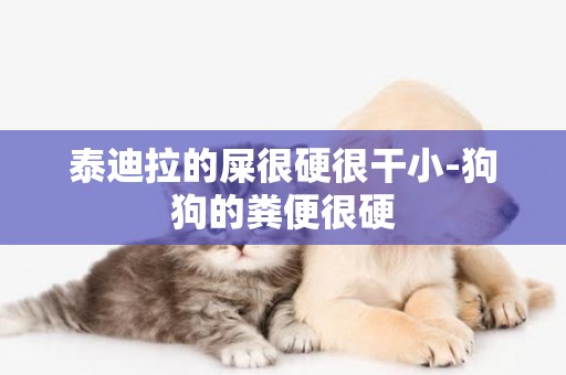 泰迪拉的屎很硬很干小-狗狗的糞便很硬