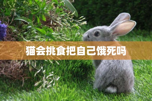 貓會挑食把自己餓死嗎