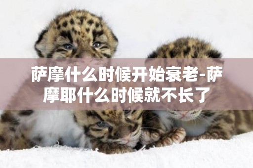 薩摩什么時候開始衰老-薩摩耶什么時候就不長了