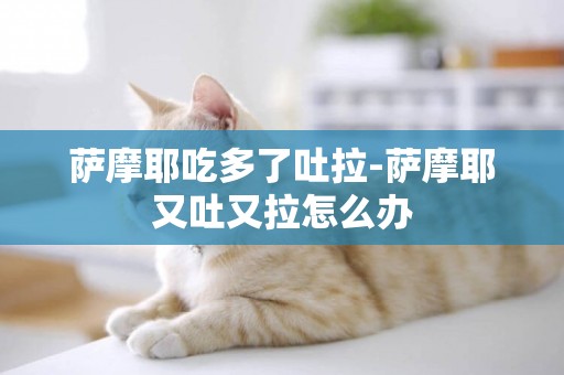 薩摩耶吃多了吐拉-薩摩耶又吐又拉怎么辦