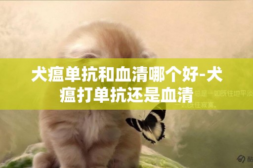 犬瘟單抗和血清哪個好-犬瘟打單抗還是血清