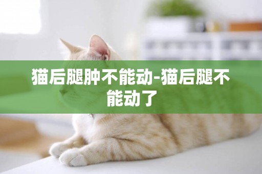 貓后腿腫不能動-貓后腿不能動了