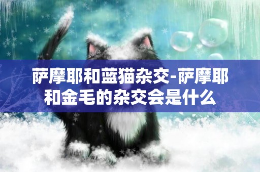 薩摩耶和藍貓雜交-薩摩耶和金毛的雜交會是什么