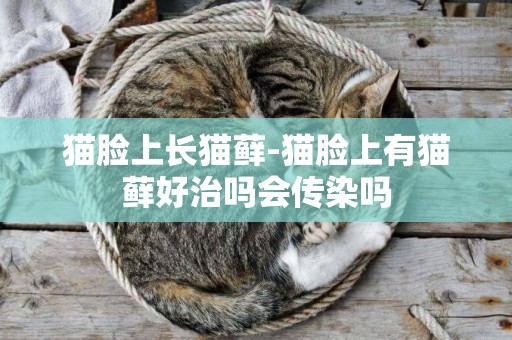 貓臉上長貓蘚-貓臉上有貓蘚好治嗎會傳染嗎