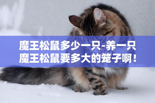 魔王松鼠多少一只-養一只魔王松鼠要多大的籠子啊！
