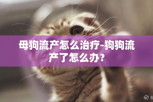 母狗流產怎么治療-狗狗流產了怎么辦？