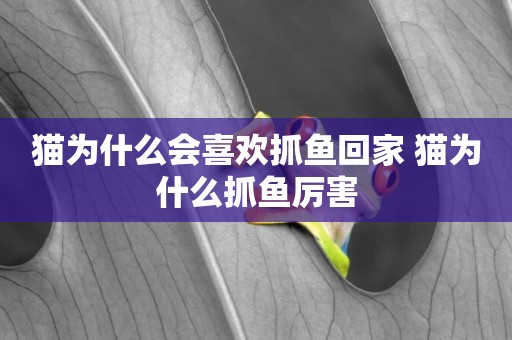 貓為什么會喜歡抓魚回家 貓為什么抓魚厲害