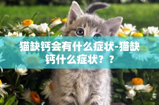 貓缺鈣會有什么癥狀-貓缺鈣什么癥狀？？
