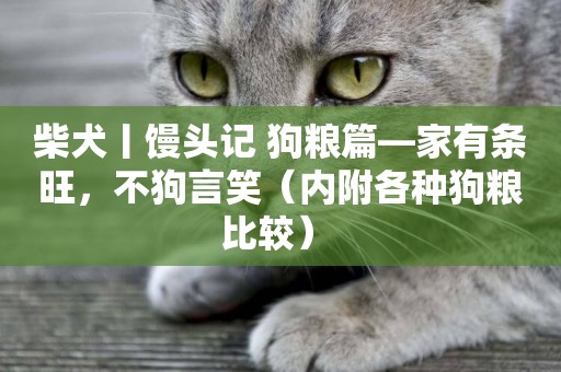 柴犬丨饅頭記 狗糧篇—家有條旺，不狗言笑（內附各種狗糧比較） 
