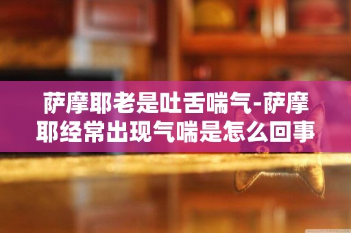 薩摩耶老是吐舌喘氣-薩摩耶經常出現氣喘是怎么回事