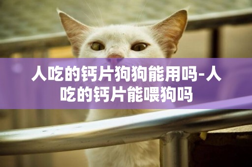 人吃的鈣片狗狗能用嗎-人吃的鈣片能喂狗嗎