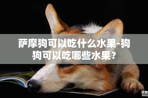 薩摩狗可以吃什么水果-狗狗可以吃哪些水果？