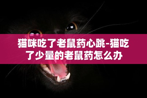 貓咪吃了老鼠藥心跳-貓吃了少量的老鼠藥怎么辦