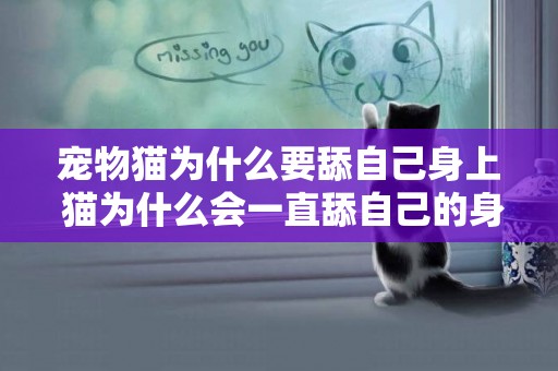 寵物貓為什么要舔自己身上 貓為什么會一直舔自己的身體