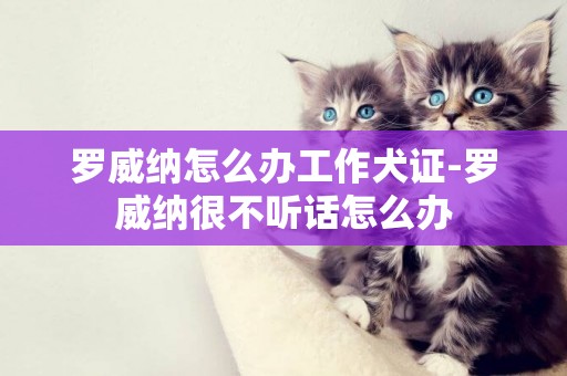 羅威納怎么辦工作犬證-羅威納很不聽話怎么辦