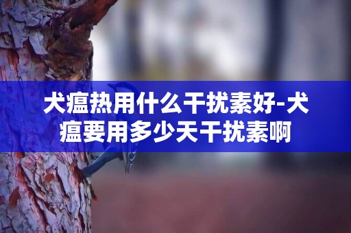 犬瘟熱用什么干擾素好-犬瘟要用多少天干擾素啊