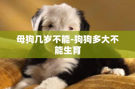 母狗幾歲不能-狗狗多大不能生育