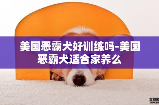 美國惡霸犬好訓練嗎-美國惡霸犬適合家養么