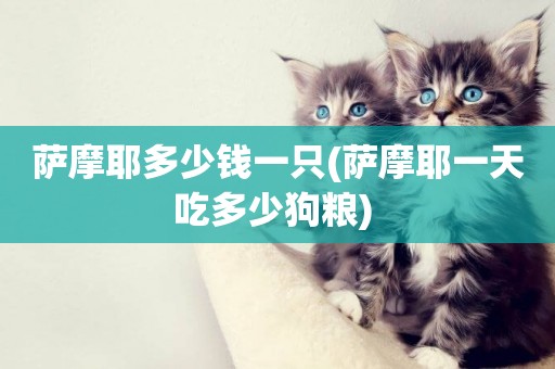 薩摩耶多少錢一只(薩摩耶一天吃多少狗糧) 