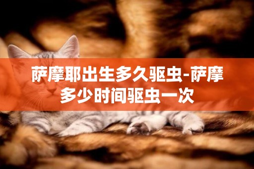 薩摩耶出生多久驅蟲-薩摩多少時間驅蟲一次