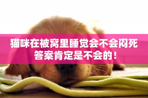 貓咪在被窩里睡覺會不會悶死 答案肯定是不會的！