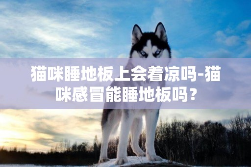 貓咪睡地板上會著涼嗎-貓咪感冒能睡地板嗎？