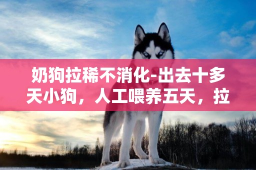 奶狗拉稀不消化-出去十多天小狗，人工喂養五天，拉稀四天不消化怎么辦！！急求回答！