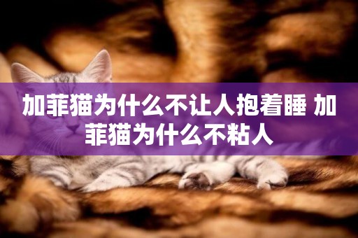加菲貓為什么不讓人抱著睡 加菲貓為什么不粘人