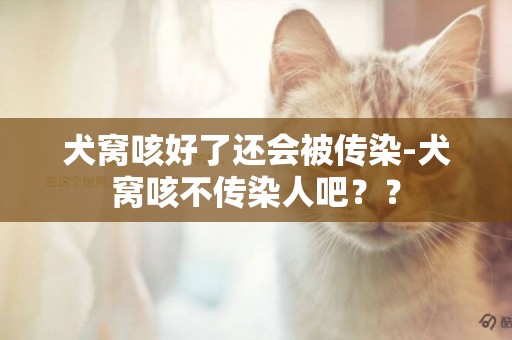 犬窩咳好了還會被傳染-犬窩咳不傳染人吧？？
