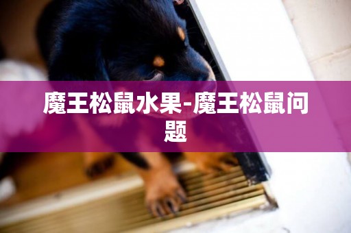 魔王松鼠水果-魔王松鼠問題