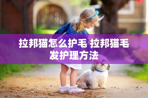 拉邦貓怎么護毛 拉邦貓毛發護理方法