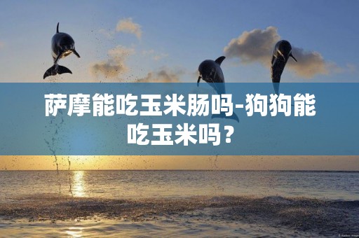 薩摩能吃玉米腸嗎-狗狗能吃玉米嗎？