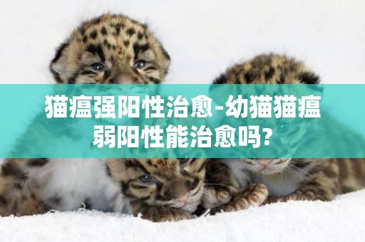 貓瘟強陽性治愈-幼貓貓瘟弱陽性能治愈嗎?