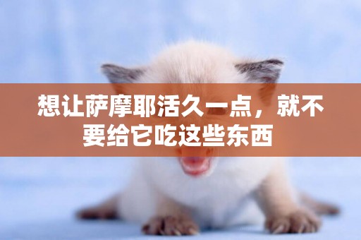 想讓薩摩耶活久一點，就不要給它吃這些東西 