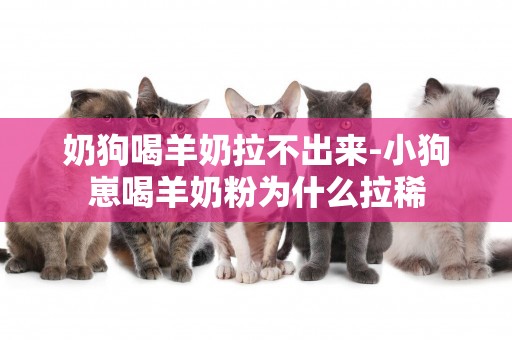 奶狗喝羊奶拉不出來-小狗崽喝羊奶粉為什么拉稀