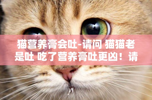 貓營養膏會吐-請問 貓貓老是吐 吃了營養膏吐更兇！請問有什么去毛球特效藥嗎？