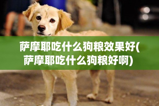 薩摩耶吃什么狗糧效果好(薩摩耶吃什么狗糧好啊) 