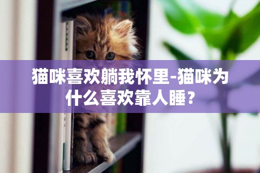 貓咪喜歡躺我懷里-貓咪為什么喜歡靠人睡？
