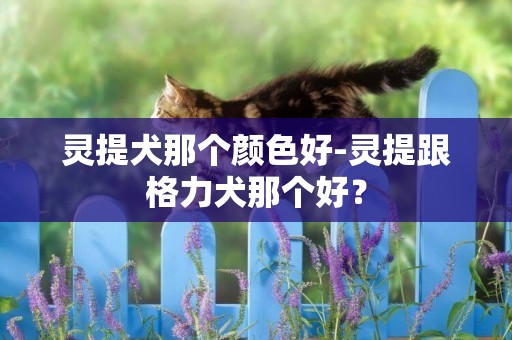 靈提犬那個顏色好-靈提跟格力犬那個好？