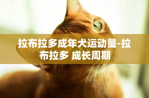 拉布拉多成年犬運動量-拉布拉多 成長周期