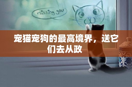 寵貓寵狗的最高境界，送它們去從政 