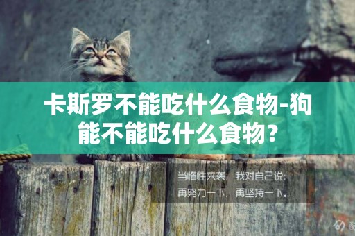 卡斯羅不能吃什么食物-狗能不能吃什么食物？