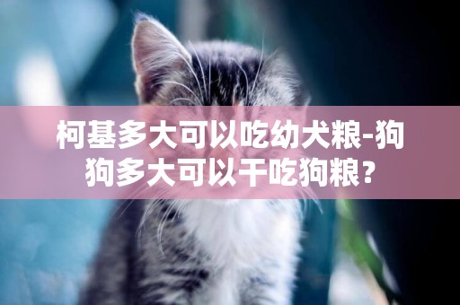 柯基多大可以吃幼犬糧-狗狗多大可以干吃狗糧？