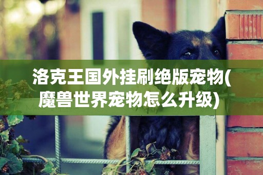 洛克王國外掛刷絕版寵物(魔獸世界寵物怎么升級) 