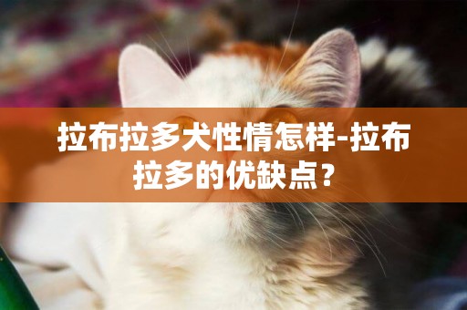 拉布拉多犬性情怎樣-拉布拉多的優缺點？