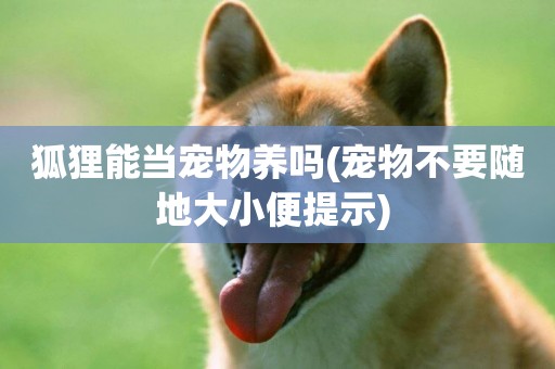 狐貍能當寵物養嗎(寵物不要隨地大小便提示) 