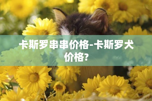 卡斯羅串串價格-卡斯羅犬價格?