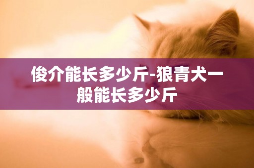 俊介能長多少斤-狼青犬一般能長多少斤