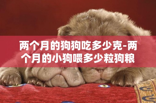 兩個月的狗狗吃多少克-兩個月的小狗喂多少粒狗糧